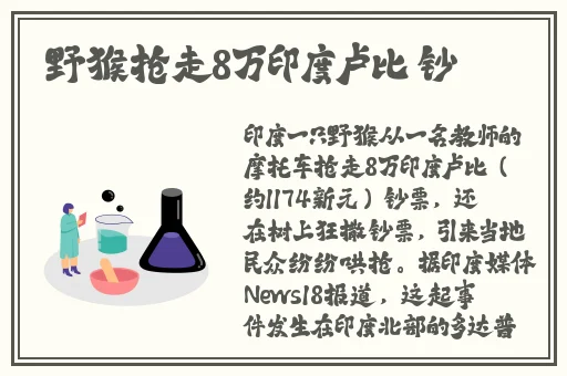 99热少妇自拍